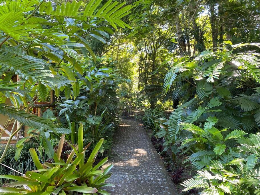 Private Villa On 2-Acres Of Jungle Garden & Pool Мансанильо Экстерьер фото
