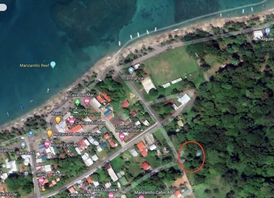 Private Villa On 2-Acres Of Jungle Garden & Pool Мансанильо Экстерьер фото