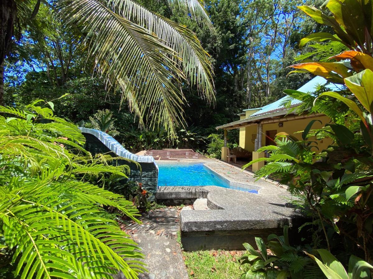 Private Villa On 2-Acres Of Jungle Garden & Pool Мансанильо Экстерьер фото