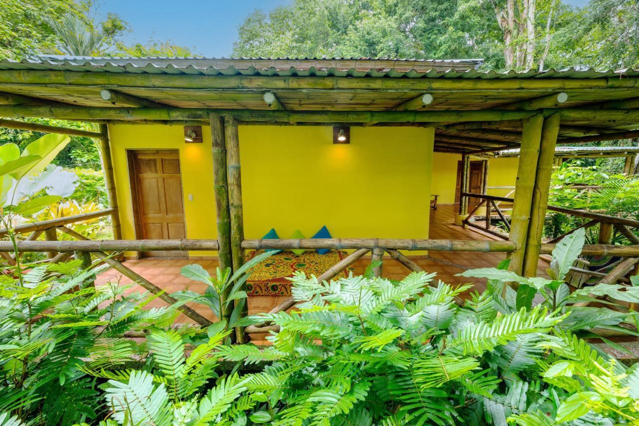 Private Villa On 2-Acres Of Jungle Garden & Pool Мансанильо Экстерьер фото
